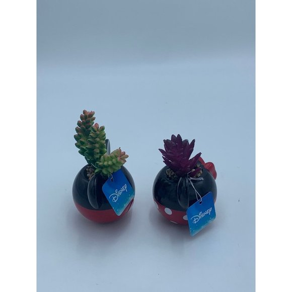 Disney Mickey and Minnie Mouse mini planters with Faux Succulents - Picture 3 of 10